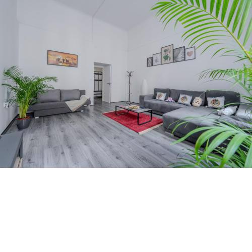 Stunning & Spacious 2BDR Apt in center Prague1