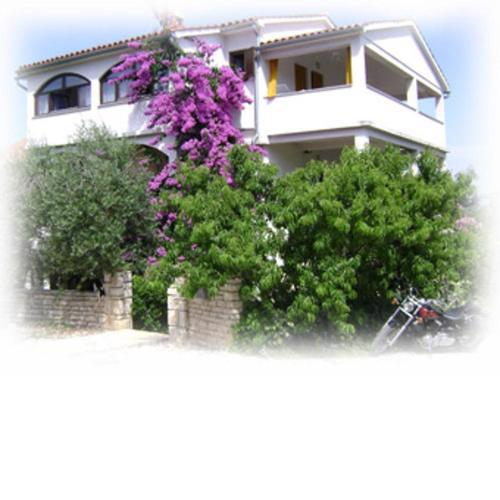 Stunning view 1-Bed Apartment in Premantura