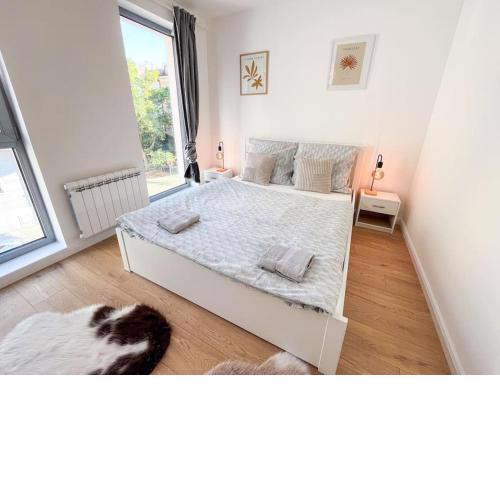 Suite Platinum XL 310