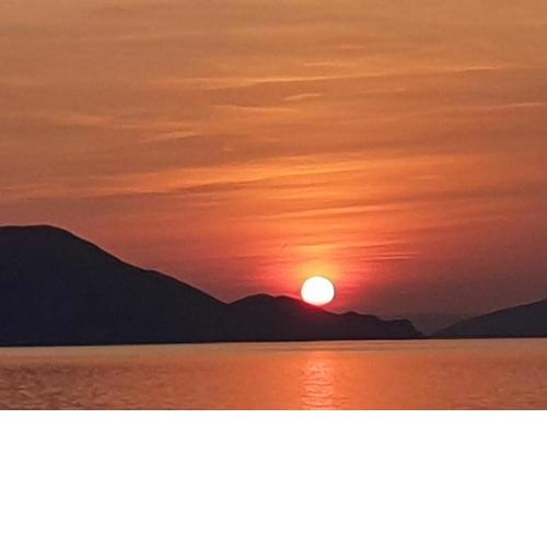 Sunčica