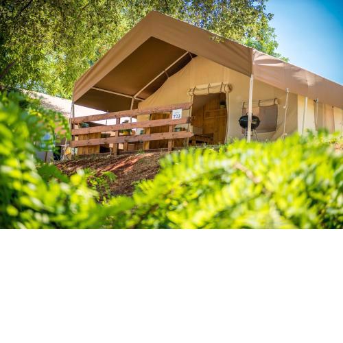 Sunflower Camping