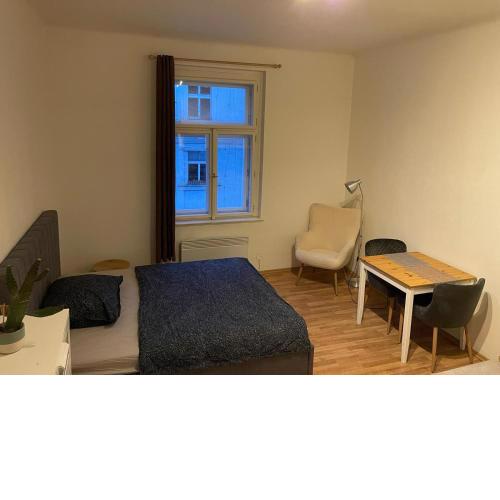 Sunlit apartment close to city center