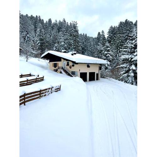 Sunnseit Lodge - Kitzbüheler Alpen