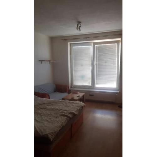 sunny apartment close to town