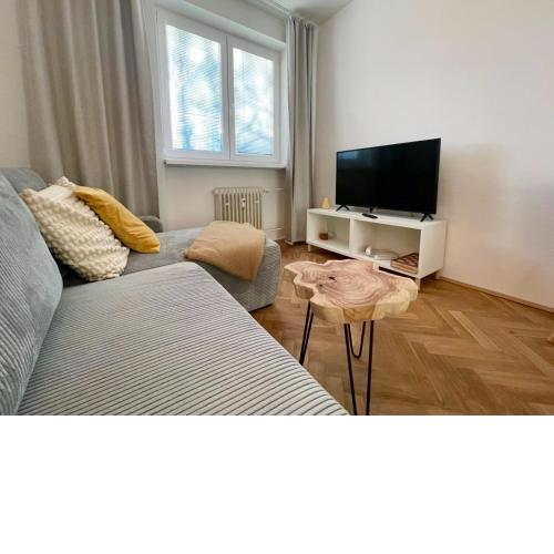 Sunny apartment near city centre