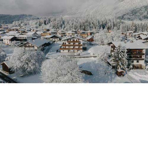 Sunny Mountain