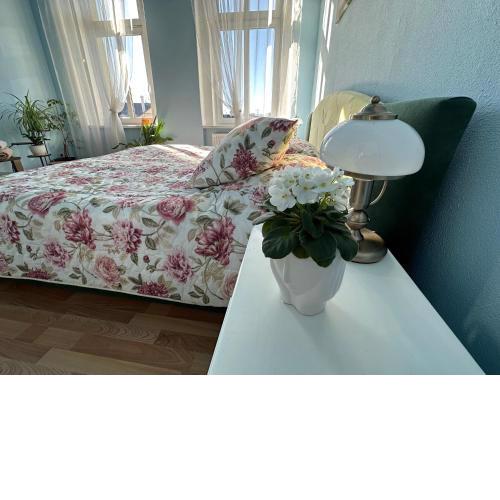 Svahova 986/6
