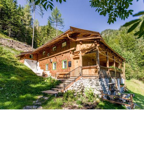 Talsenalm Wald Habitat
