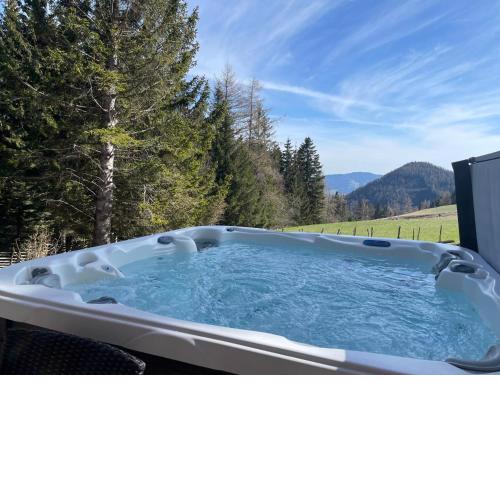 Teichalm Lodge Landhaus
