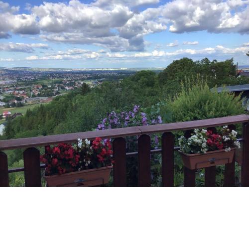 The View