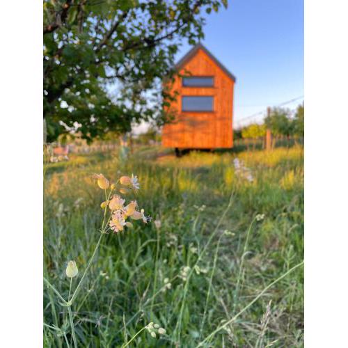 Tiny house Pálava