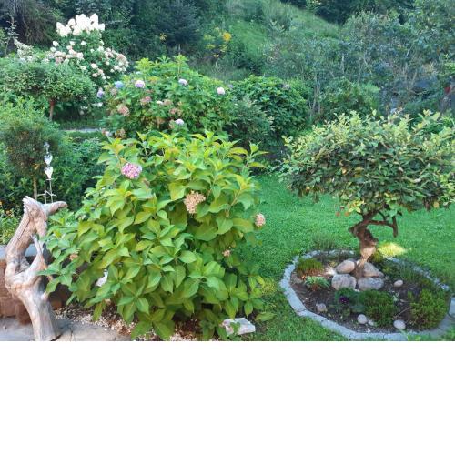 TOP Garden View