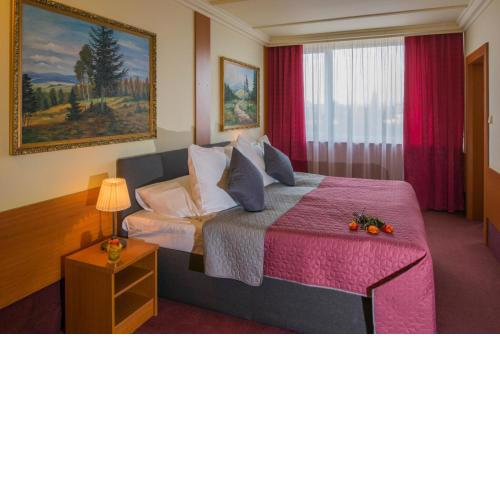TOP HOTEL Praha