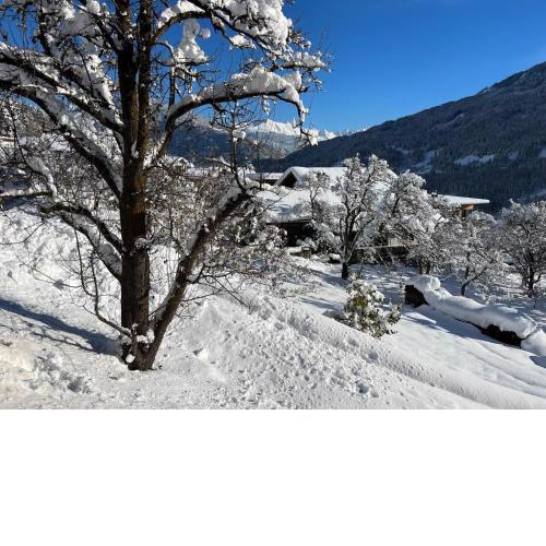 Traumapartment Murmeltier Tirol