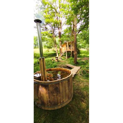 Treehouse LEA