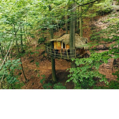 Treehouse Trenčianske Teplice