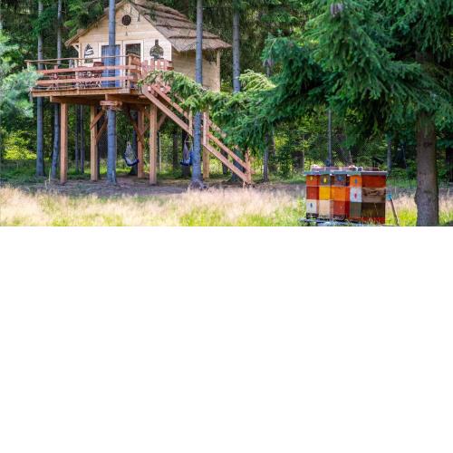Treehouse U lesa