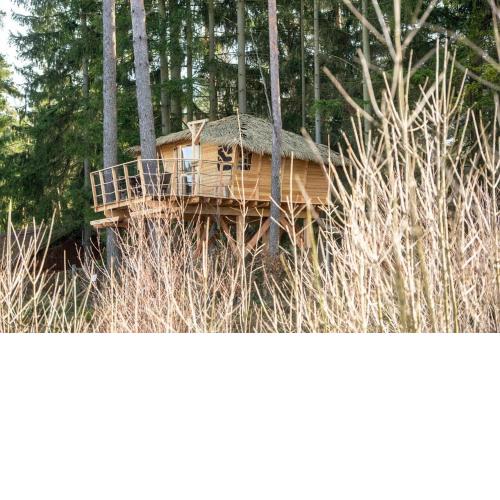 Treehouse U rybníka