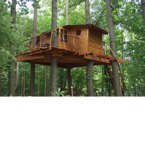 Treehouse v Brdech