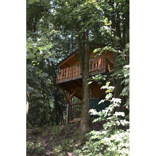 Treehouse Velké Losiny