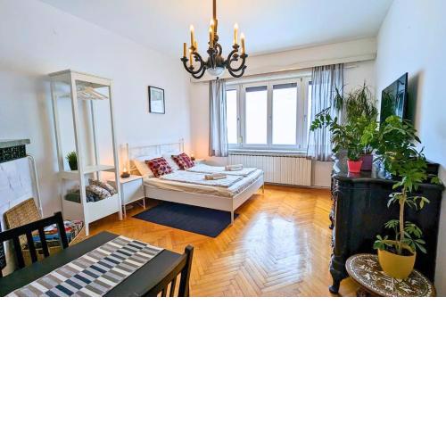 TRUE ZAGREB centrally located & spacious apartment