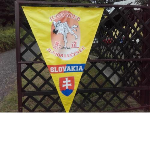 Turistická ubytovňa Hotel Divin
