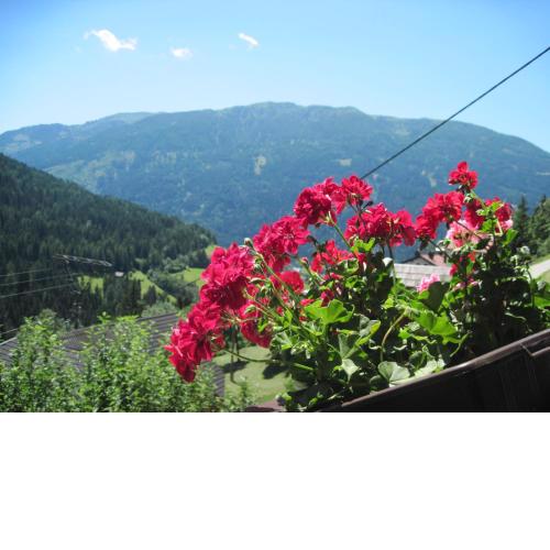 Two Bedroom Appartement near Bad Kleinkirchheim