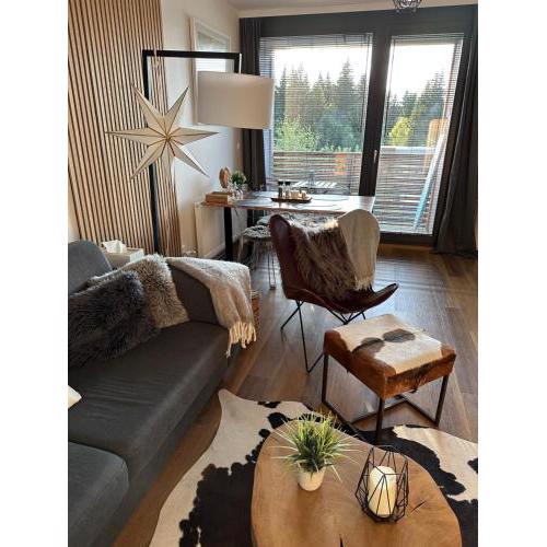 U jelena Harrachov - rodinný apartmán u lesa s garáží
