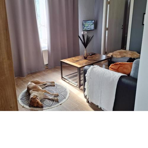 Ubytování Na Peci Lanžhot