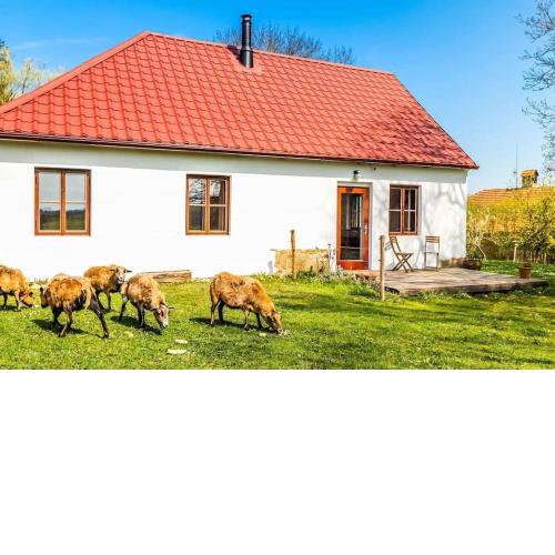 Ubytování v tichu u Českého Krumlova