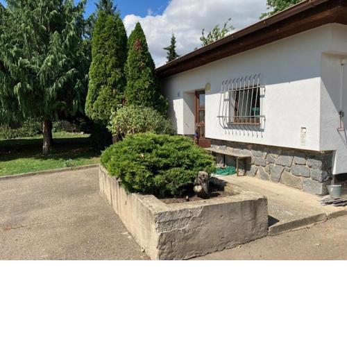 Ubytování ve vinici