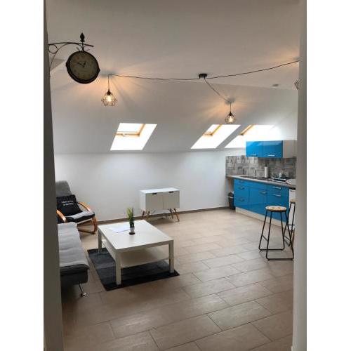 Urban-Style-Rooftop-Apartment