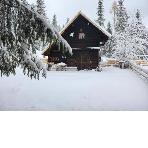 Urige Waldbienenhütte