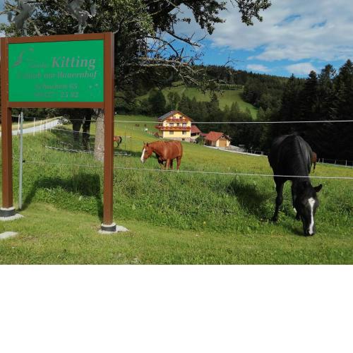 Urlaub am Bauernhof Familie Kitting