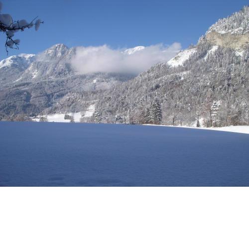 Urlaub am Bauernhof Windhaghof