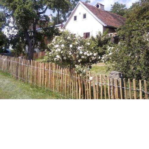Útulný domek s malou zahrádkou