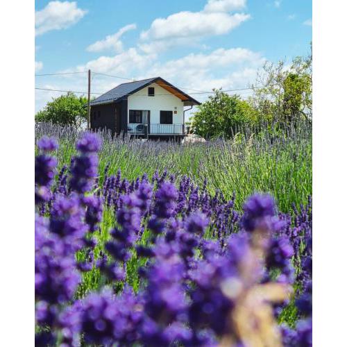 Vacation Home - NEST Kalnik