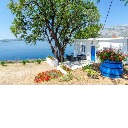 Vacation Home Deja Blue