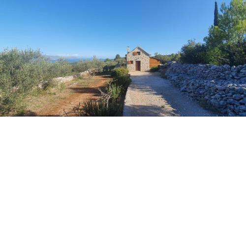 Vacation Home Friday
