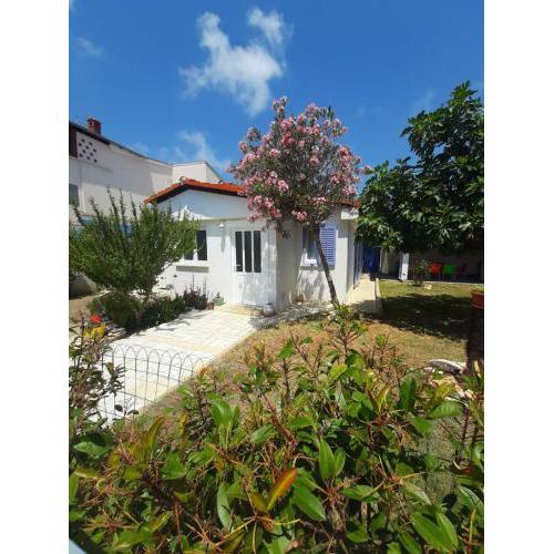 Vacation House Bimba - Pomer