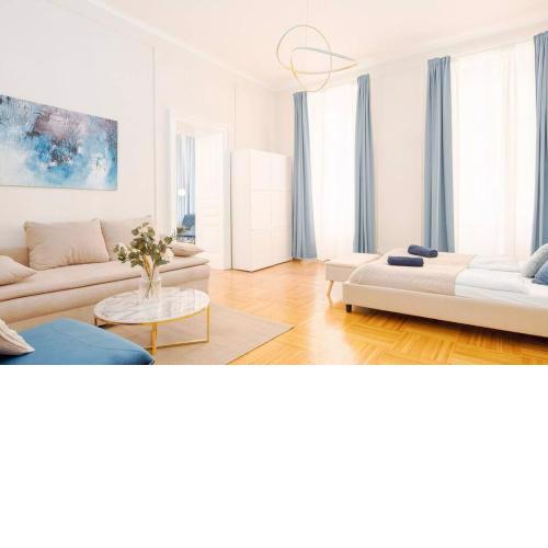 Very Spacious Apartment Close to AKH