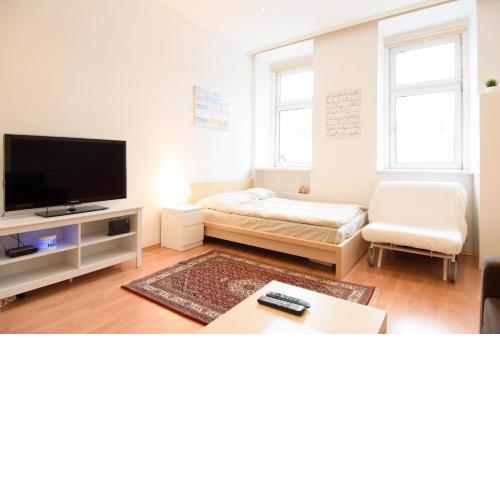 Vienna City Apartment Dampfgasse