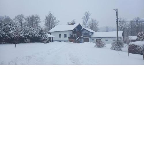 Vila Bělá pod Pradědem