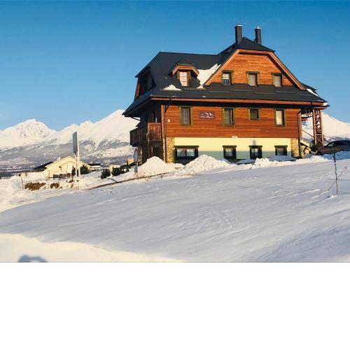 Vila Mlynica
