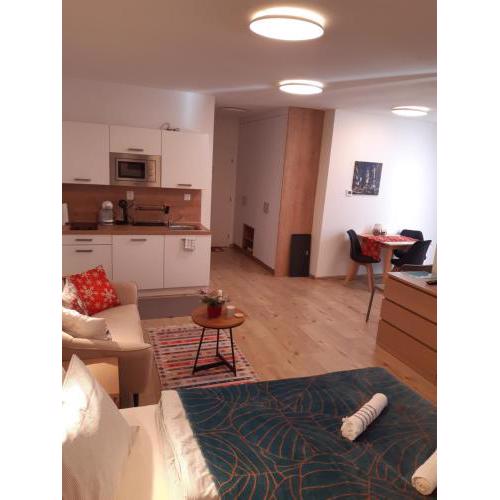 Vila Zuberec apartmán 105
