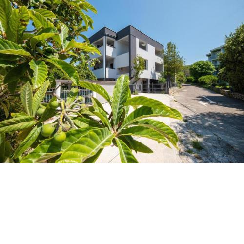 Villa Ana