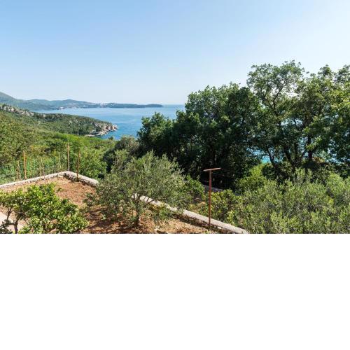 Villa Barbara