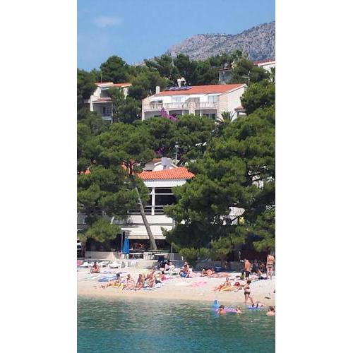 Villa Bose- Apartmani Luka Šodan