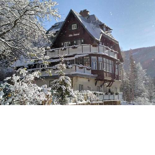 Villa Daheim Semmering