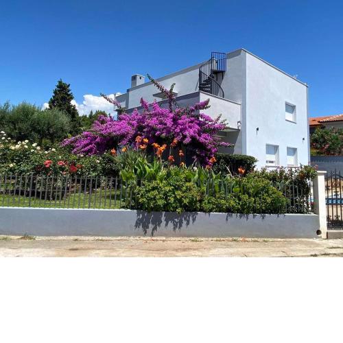Villa Daniel